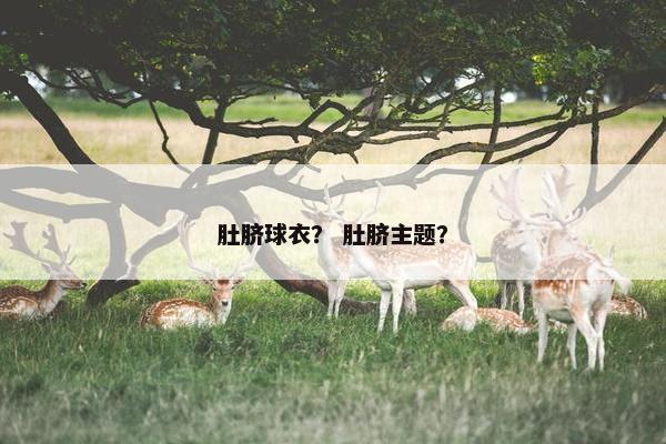 肚脐球衣？ 肚脐主题？