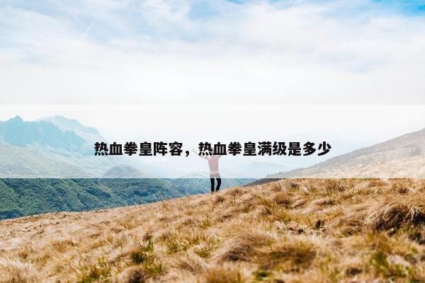 热血拳皇阵容，热血拳皇满级是多少