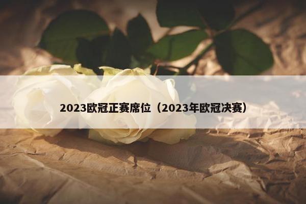 2023欧冠正赛席位（2023年欧冠决赛）