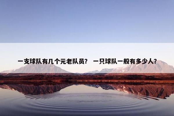 一支球队有几个元老队员？ 一只球队一般有多少人？