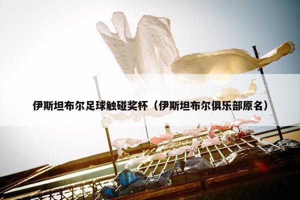 伊斯坦布尔足球触碰奖杯（伊斯坦布尔俱乐部原名）