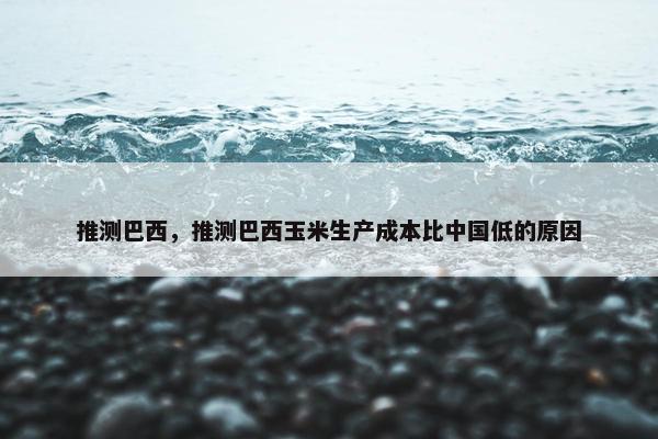 推测巴西，推测巴西玉米生产成本比中国低的原因