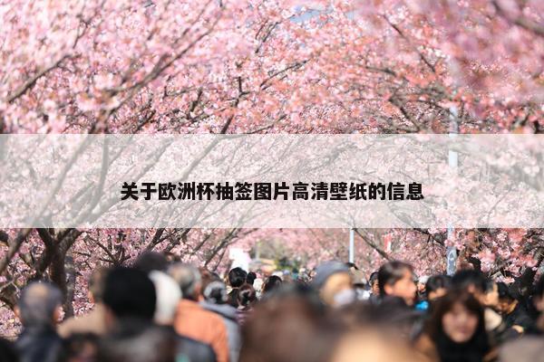 关于欧洲杯抽签图片高清壁纸的信息