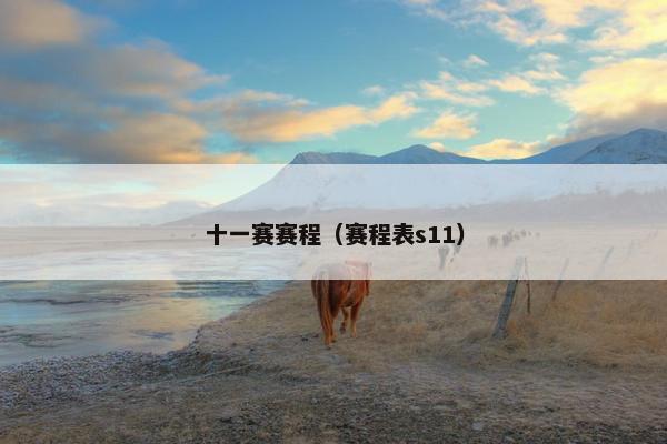 十一赛赛程（赛程表s11）