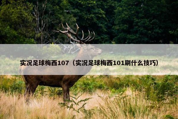 实况足球梅西107（实况足球梅西101刷什么技巧）