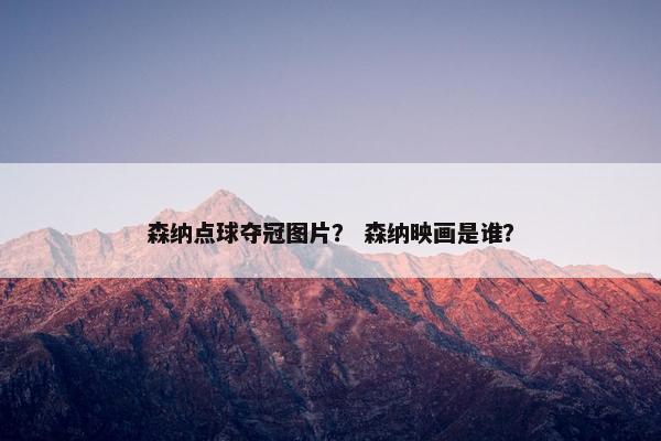 森纳点球夺冠图片？ 森纳映画是谁？