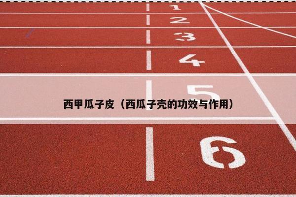 西甲瓜子皮（西瓜子壳的功效与作用）