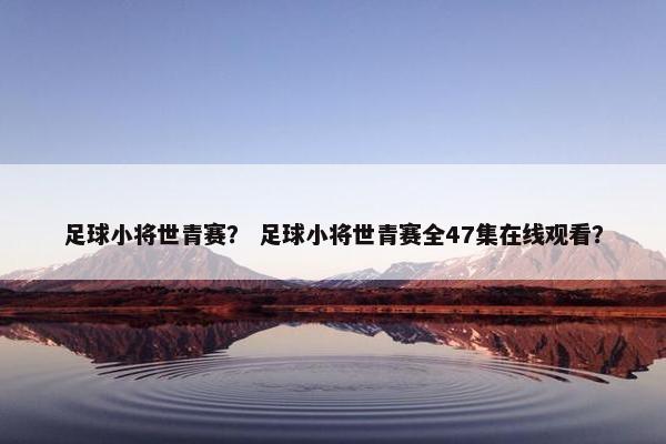 足球小将世青赛？ 足球小将世青赛全47集在线观看？