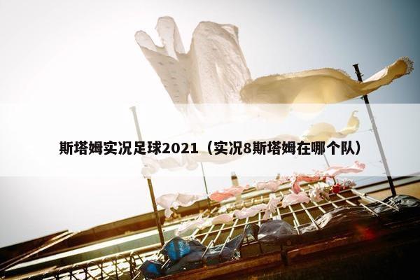 斯塔姆实况足球2021（实况8斯塔姆在哪个队）