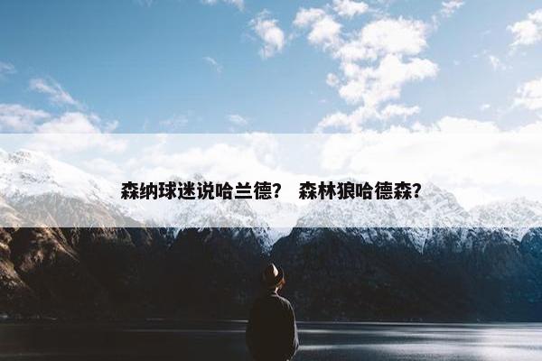 森纳球迷说哈兰德？ 森林狼哈德森？