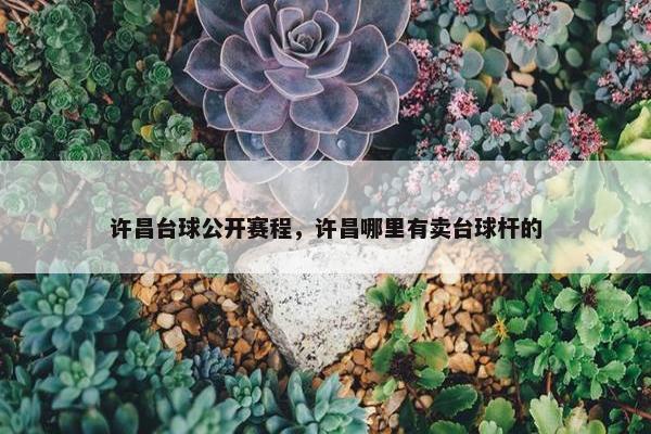 许昌台球公开赛程，许昌哪里有卖台球杆的