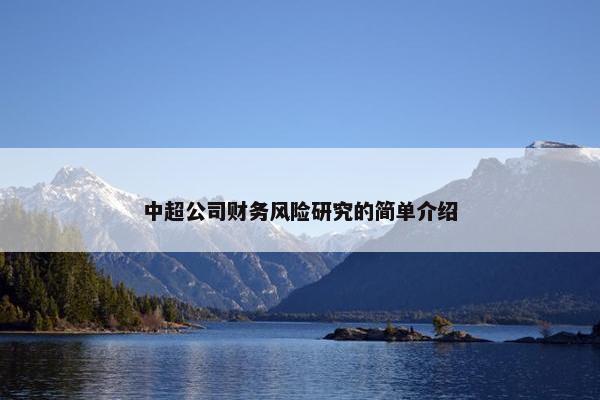 中超公司财务风险研究的简单介绍