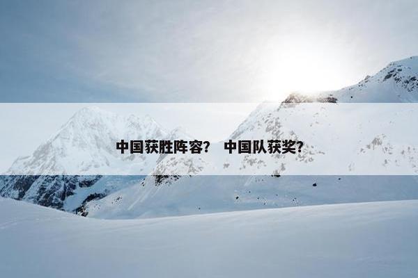 中国获胜阵容？ 中国队获奖？