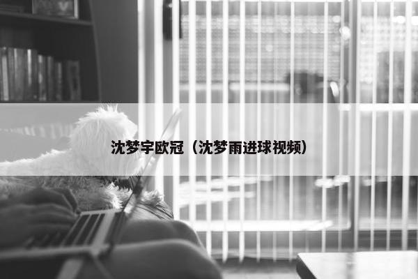 沈梦宇欧冠（沈梦雨进球视频）