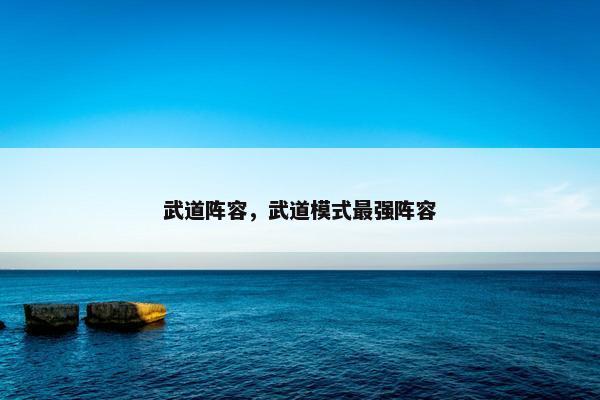 武道阵容，武道模式最强阵容
