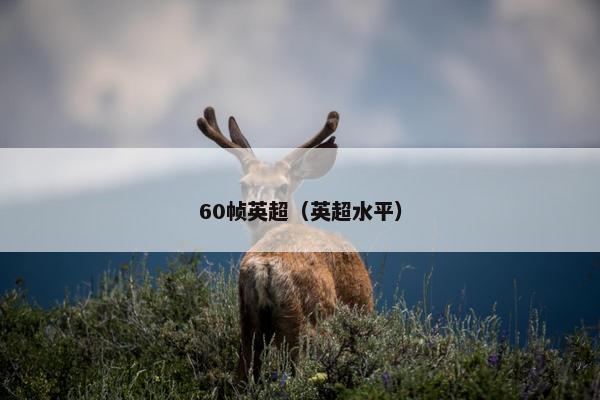 60帧英超（英超水平）
