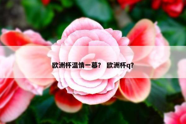 欧洲杯温情一幕？ 欧洲杯q？