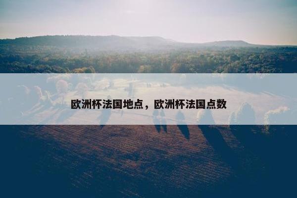 欧洲杯法国地点，欧洲杯法国点数
