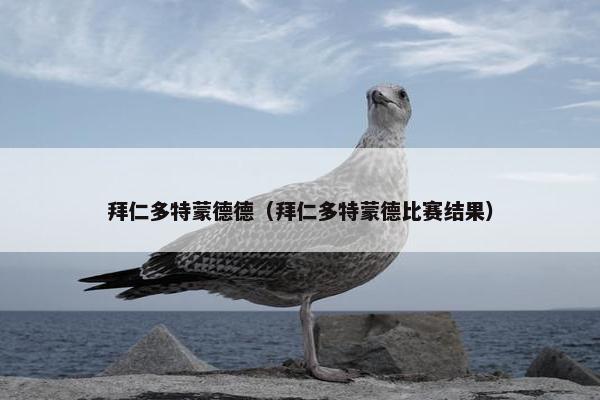拜仁多特蒙德德（拜仁多特蒙德比赛结果）