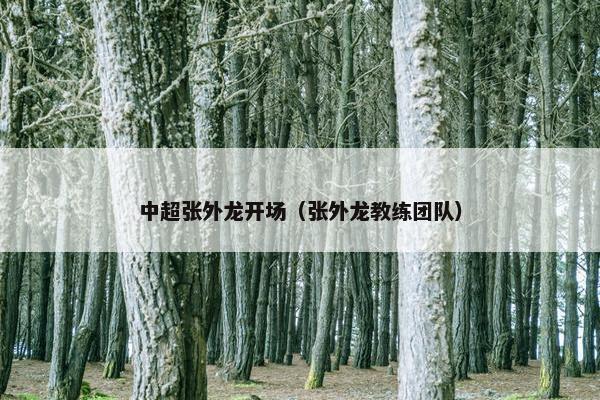 中超张外龙开场（张外龙教练团队）