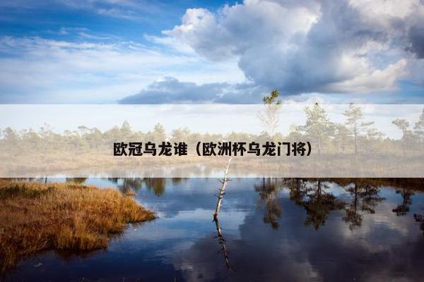 欧冠乌龙谁（欧洲杯乌龙门将）