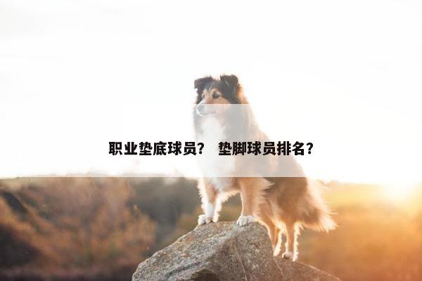 职业垫底球员？ 垫脚球员排名？