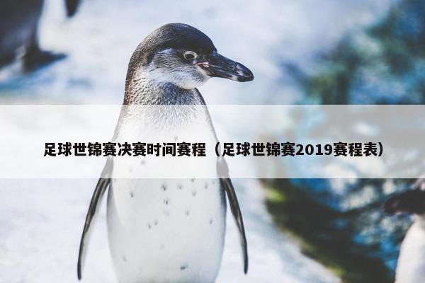 足球世锦赛决赛时间赛程（足球世锦赛2019赛程表）