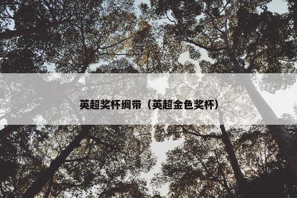 英超奖杯绸带（英超金色奖杯）