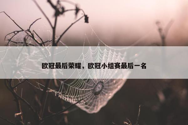 欧冠最后荣耀，欧冠小组赛最后一名