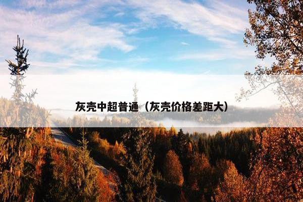 灰壳中超普通（灰壳价格差距大）