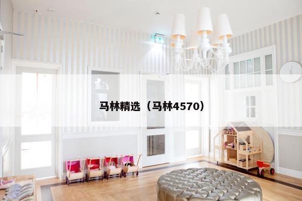 马林精选（马林4570）