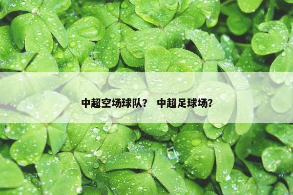 中超空场球队？ 中超足球场？
