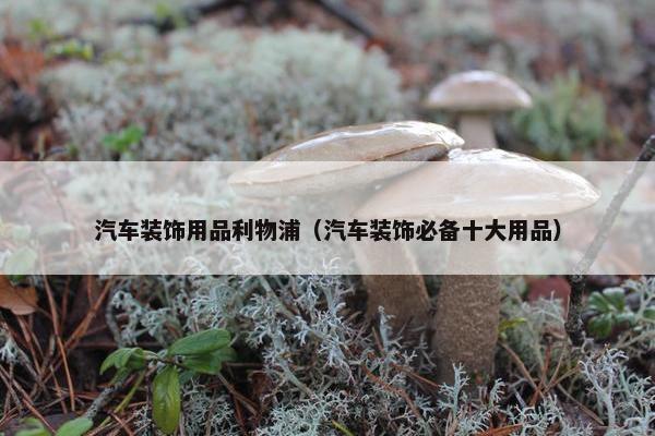 汽车装饰用品利物浦（汽车装饰必备十大用品）