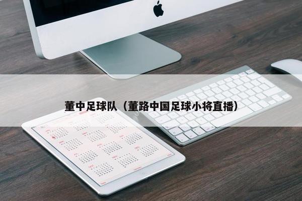 董中足球队（董路中国足球小将直播）