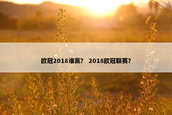 欧冠2018谁赢？ 2018欧冠联赛？