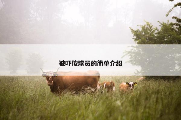 被吓傻球员的简单介绍