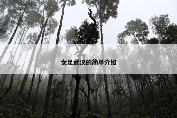 女足武汉的简单介绍