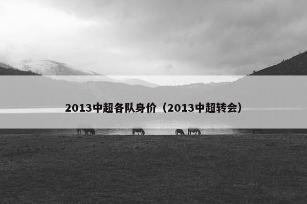 2013中超各队身价（2013中超转会）