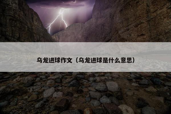 乌龙进球作文（乌龙进球是什么意思）