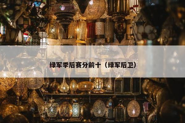 绿军季后赛分前十（绿军后卫）