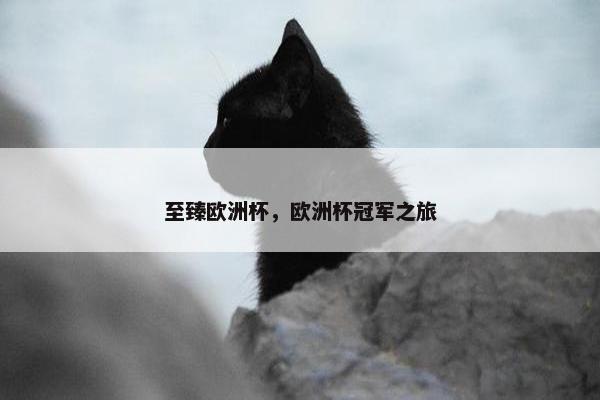 至臻欧洲杯，欧洲杯冠军之旅