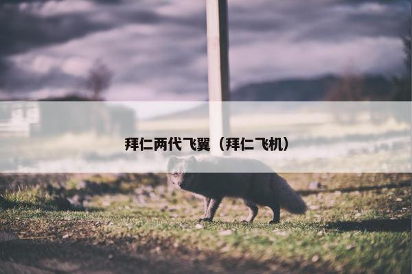 拜仁两代飞翼（拜仁飞机）