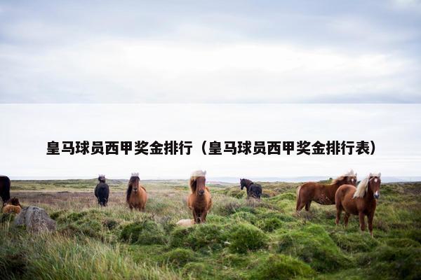 皇马球员西甲奖金排行（皇马球员西甲奖金排行表）