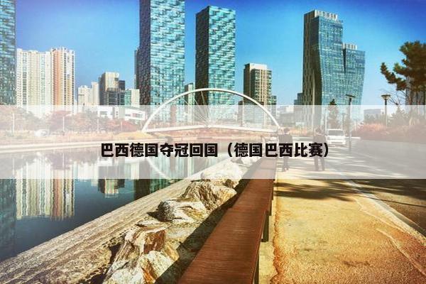 巴西德国夺冠回国（德国巴西比赛）