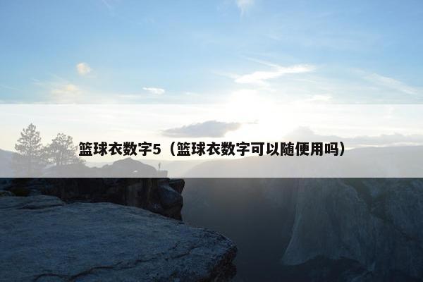 篮球衣数字5（篮球衣数字可以随便用吗）