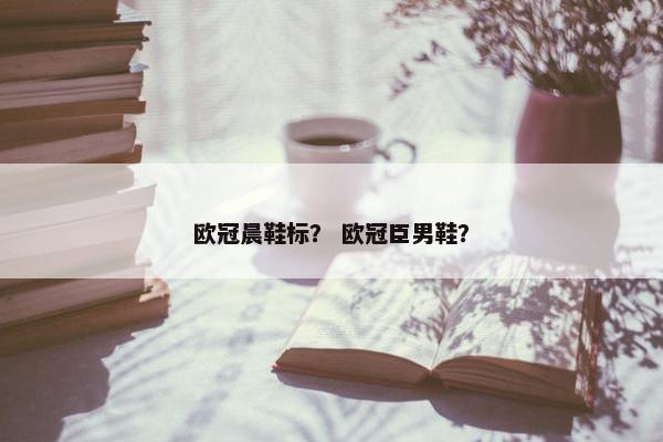 欧冠晨鞋标？ 欧冠臣男鞋？