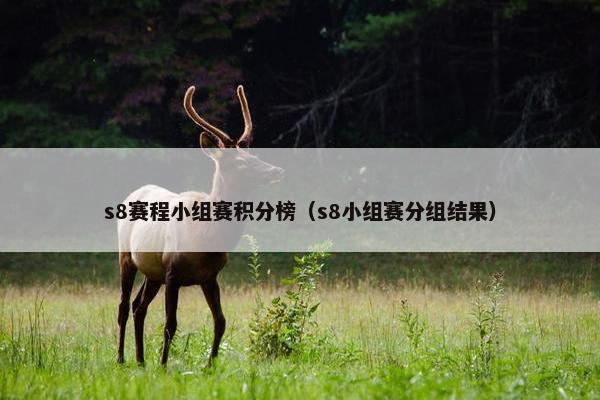 s8赛程小组赛积分榜（s8小组赛分组结果）