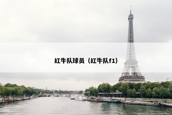 红牛队球员（红牛队f1）