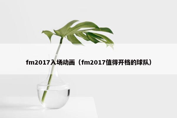 fm2017入场动画（fm2017值得开档的球队）