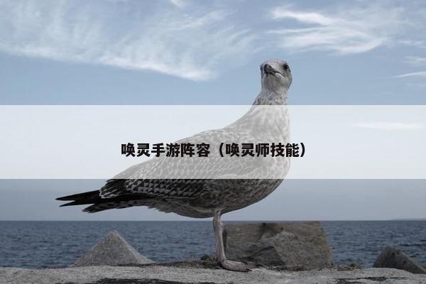 唤灵手游阵容（唤灵师技能）